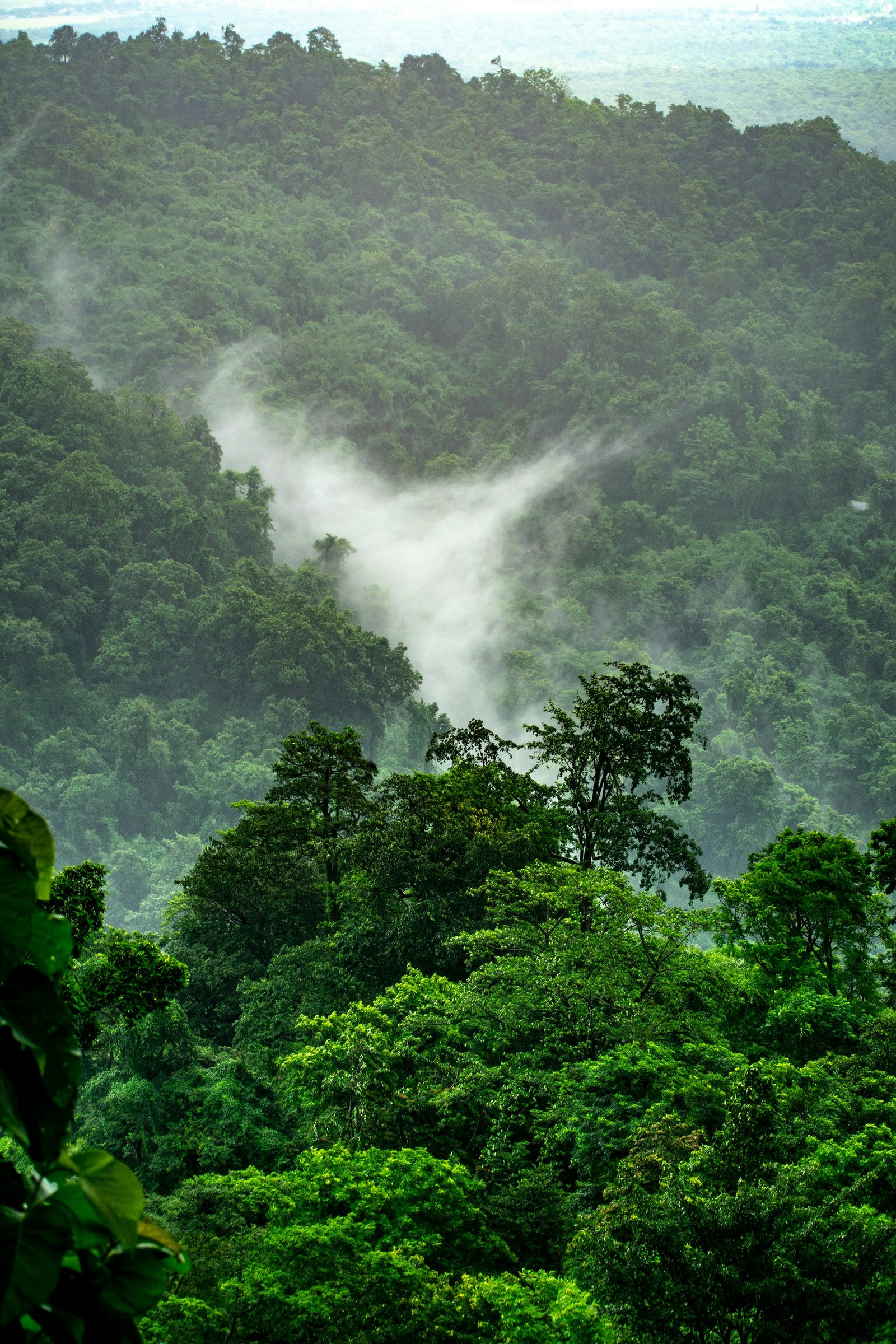 WorldResort.ONE tropical habitat and hospitality